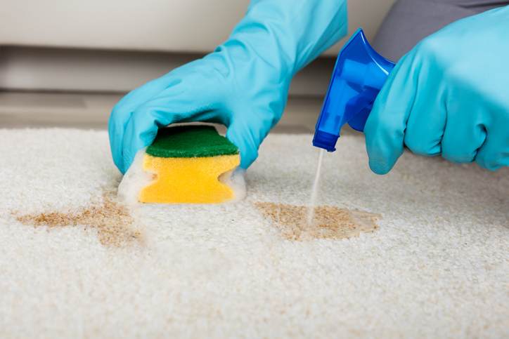 Pet Odor & Stain Removal